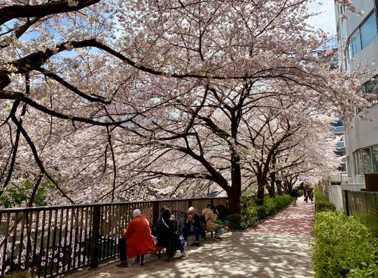 眺望 - 【家具付き】中目黒、恵比寿エリア} - ルームシェアルームメイト