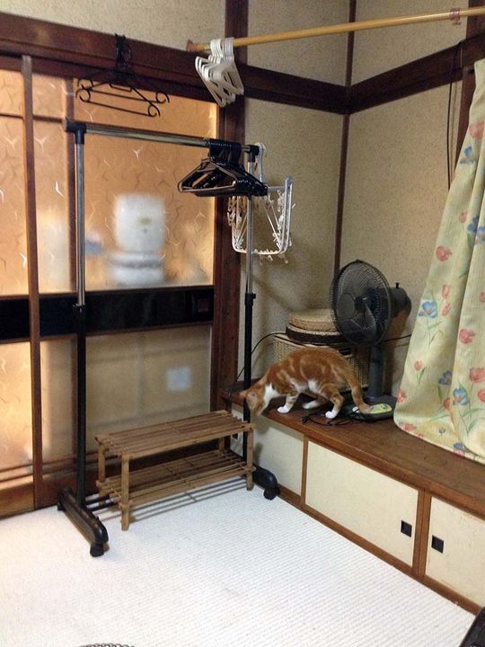 個室 - ¥25,000 Furnished Private Room @Shiki (20min from Ikebukuro))} - ルームシェアルームメイト