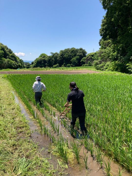 その他 - 半自給自足型コミュニティ　シェアメンバー募集} - ルームシェアルームメイト