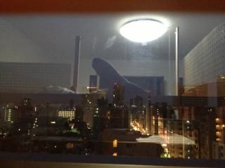 眺望 - 7月オープン記念最大15日フリーレントキャンペーン★　大久保駅徒歩5分} - ルームシェアルームメイト