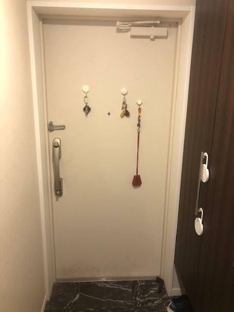 玄関 - 3LDKのマンションで、２部屋のルームシェアをしませんか。東京オリンピック・パラリンピック期間限定です。} - ルームシェアルームメイト