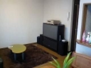 リビング - ★自由が丘近く、bbq出来る庭付き2Ｆ建3ldk・1f大型リビング・2Ｆ各個室で高級シェアです★　即入居可能です♪} - ルームシェアルームメイト