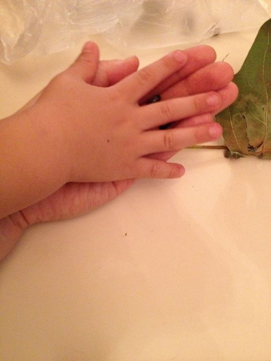 シェアメイト - 下北沢【お米食べ放題♪】オーガニック子育てシェアハウス} - ルームシェアルームメイト