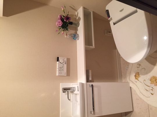 トイレ - 豊洲タワーマンション超高層階ルームメイト募集} - ルームシェアルームメイト