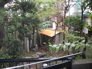 庭 - 大崎駅徒歩３分鉄筋戸建６dkビーグル犬のいる庭付き} - ルームシェアルームメイト