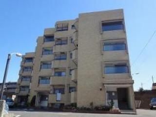 キッチン - 京浜急行「上大岡」駅 徒歩11分　3ＬＤＫマンション　1室募集！（15,000円～）} - ルームシェアルームメイト