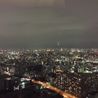 豊洲タワーマンション超高層階ルームメイト募集 眺望 の画像
