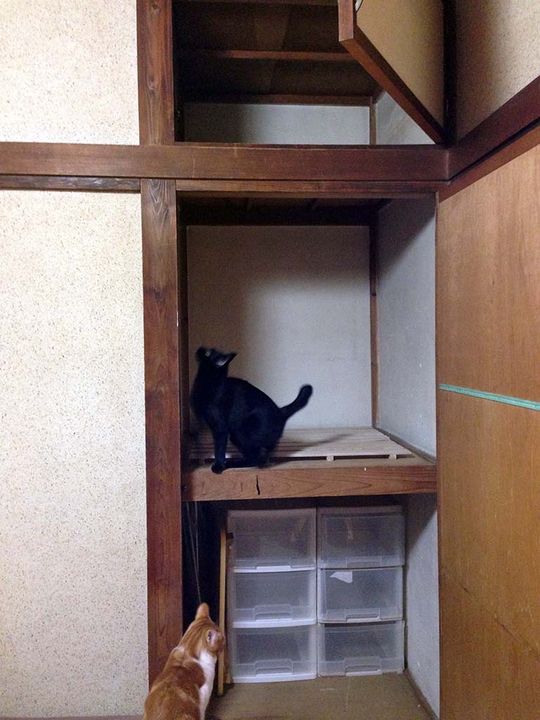 個室 - ¥25,000 Furnished Private Room @Shiki (20min from Ikebukuro))} - ルームシェアルームメイト