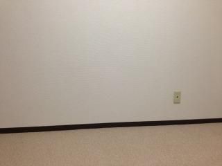 個室 - 都内洋室} - ルームシェアルームメイト