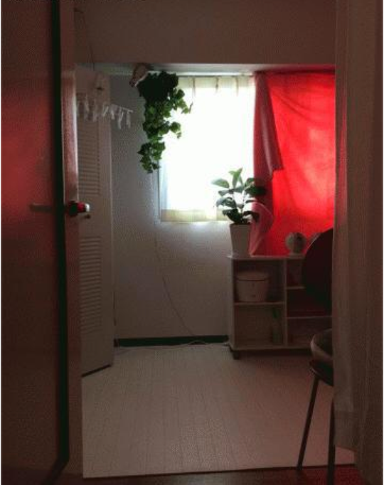 個室 - 【ペット・楽器可能】MacBook Air、iPad mini、原付etc貸出可能【豊中古マンションをオシャレに】} - ルームシェアルームメイト