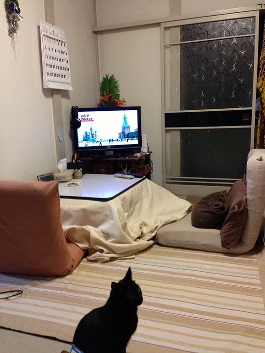 ダイニング - ¥25,000 Furnished Private Room @Shiki (20min from Ikebukuro))} - ルームシェアルームメイト