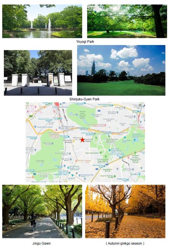 その他 - 女性専用　原宿3大公園住宅地　プライベートルーム 5畳} - ルームシェアルームメイト