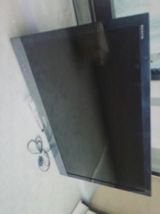 本体 - テレビ} - ルームシェアルームメイト